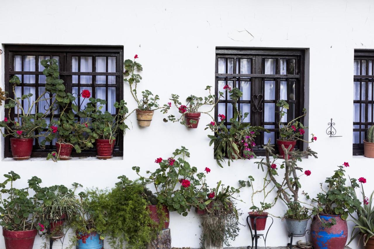 Olerki By Smiling Rentals Hondarribia Luaran gambar